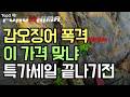 알리익스프레스 특가세일 발광 오징어 에기 3종 비교 후쿠시마 키쿠라 바닷물킹덤까지 야간에 던졌더니 갑오징어가 먼저 달려온 이유 공개