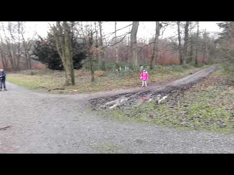 Neulich im Wald