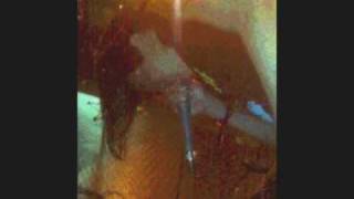 secretunderpaper - undying promise