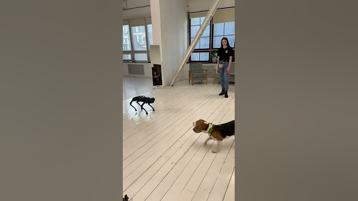 Real Dog Doesn't Like Robot Dog || ViralHog
