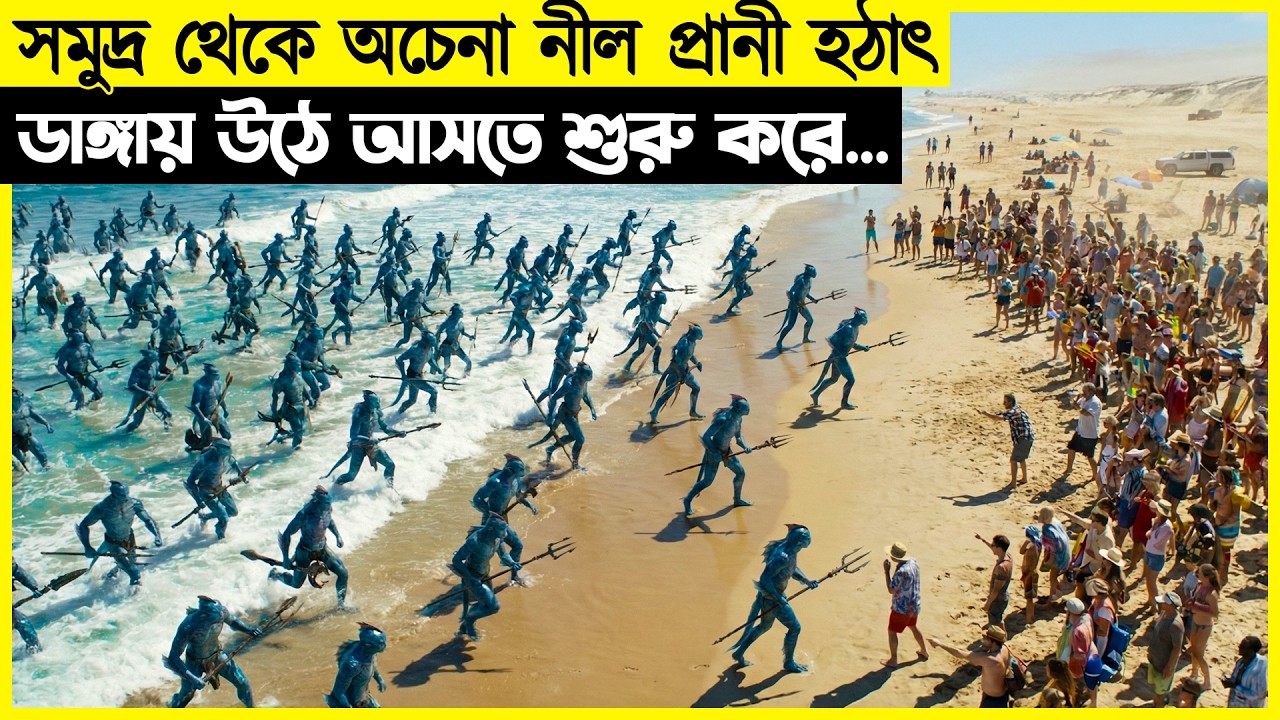 মানুষের অজান্তেই প্রানী গুলো সমুদ্রের নীচে বাস করে আসছিলো কিন্তু হঠাৎ তাদের এমন আচরন...