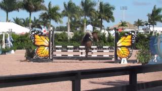 Hannah Columbina Z Warm Up 011715 Wef 2