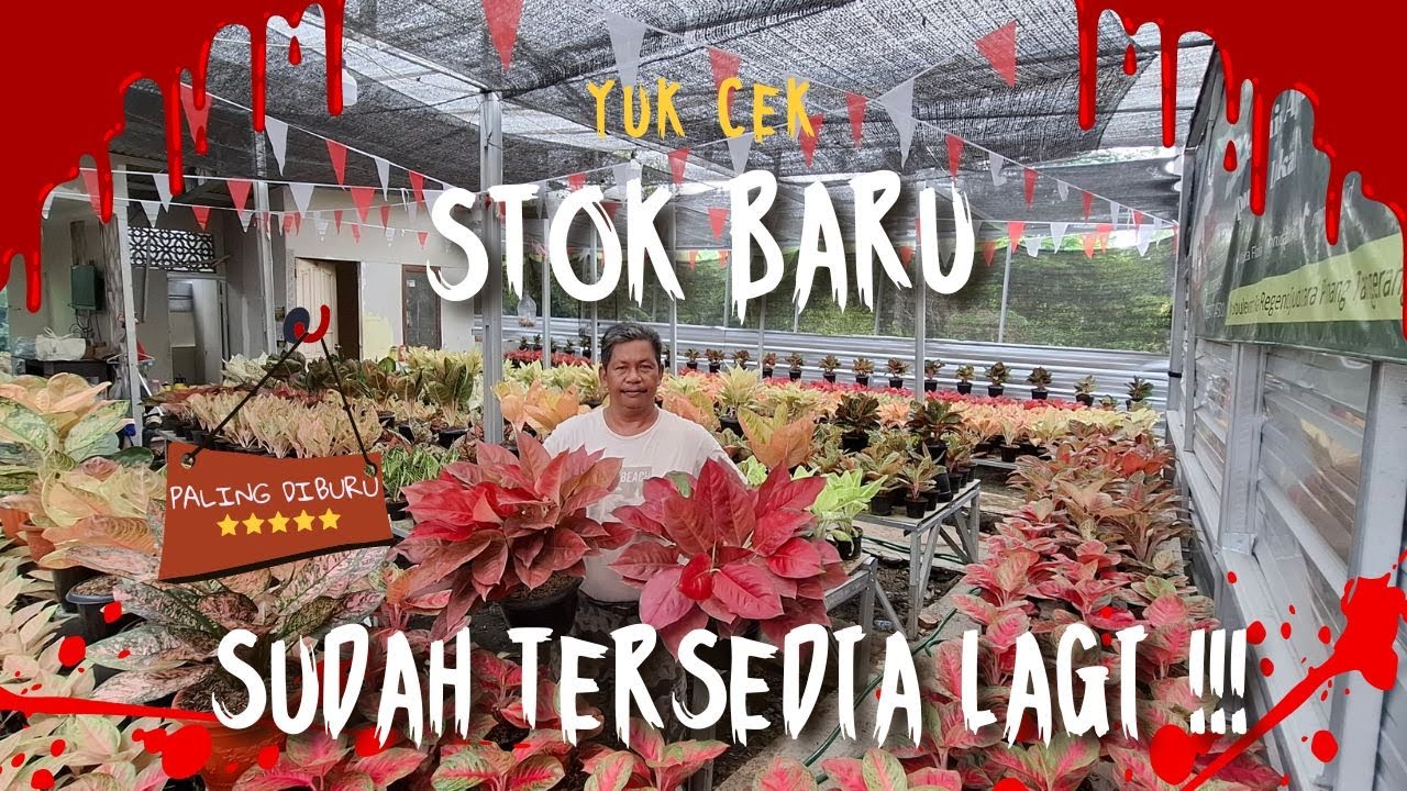 KEMBALI HADIR !!! STOK YANG KEMARIN HABIS !!! Dapatkan sebelum kehabisan lagi!