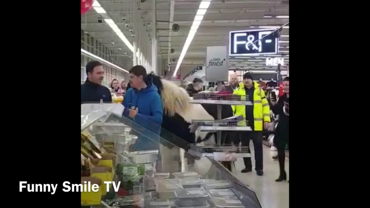 Horse in Tesco Finglas Dublin 2019 02 13 YouTube