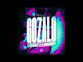 GOZALO Ultra Slowed Funk