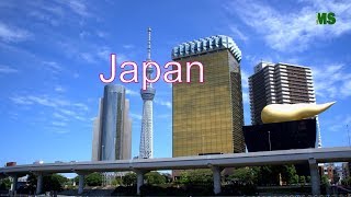Tokyo  City  Capital of Japan  2019 Tokyo Skytree 2019