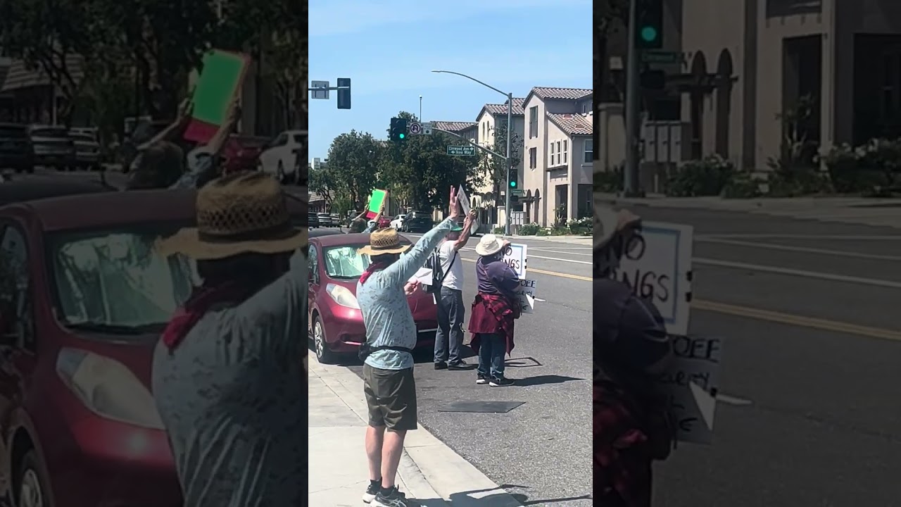 PROTESTERS TAKE STAND AGAINST TRUMP AND MUSK IN BURBANK! (Part 12)