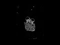 Bedouin Soundclash Full Bloom OFFICIAL AUDIO Bedouin Soundclash Full Bloom OFFICIAL AUDIO