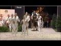WEG 2014 / German Vaulting Squad / Voltigieren Finalkür Team Neuss
