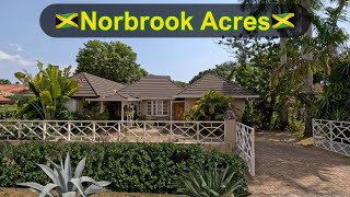 Norbrook Acres: An Intimate Neighborhood Drive
Join Tom and Madge from Red Button Journal on an intimate drive through Norbrook Acres, where hidden gems and charming homes await. Witness the unique appeal of this often overlooked neighborhood, and discover what makes Norbrook Acres a special place to visit or call home. Don’t forget to subscribe for more engaging tours and explorations!
⛽️💲Wanna help out with gas money? You can choose whatever amount you’d like to donate at https://www.paypal.com/donate/?business=XDP45RKC7WLVS&no_recurring=0&item_name=Come+along+with+Tom+%26+Madge+on+Red+Button+Journal.+Your+support+helps+us+share+Jamaica%27s+love%2C+laughter%2C+and+authentic+spirit.¤cy_code=USD
Every mikkle mek a mukkle! Blessings❤️
#NorbrookAcres #NeighborhoodDrive #RedButtonJournal #jamaicavlog #vlog #scenicdrive #travelvlog #internationalcouplevlog #travelvlog #jamaicanbeauty #jamaicaadventure #jamaica Norbrook Acres: An Intimate Neighborhood Drive