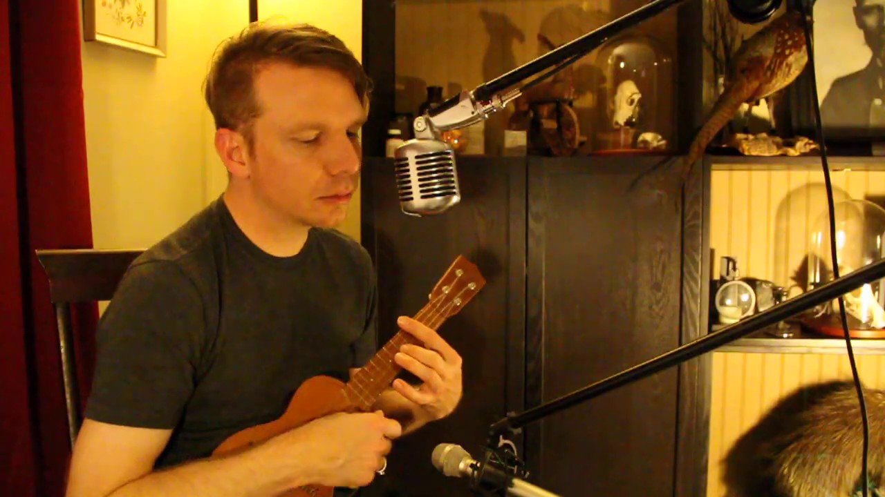 Jon Sonnenberg - "A Hit" (ukelele cover of a song by Smog)