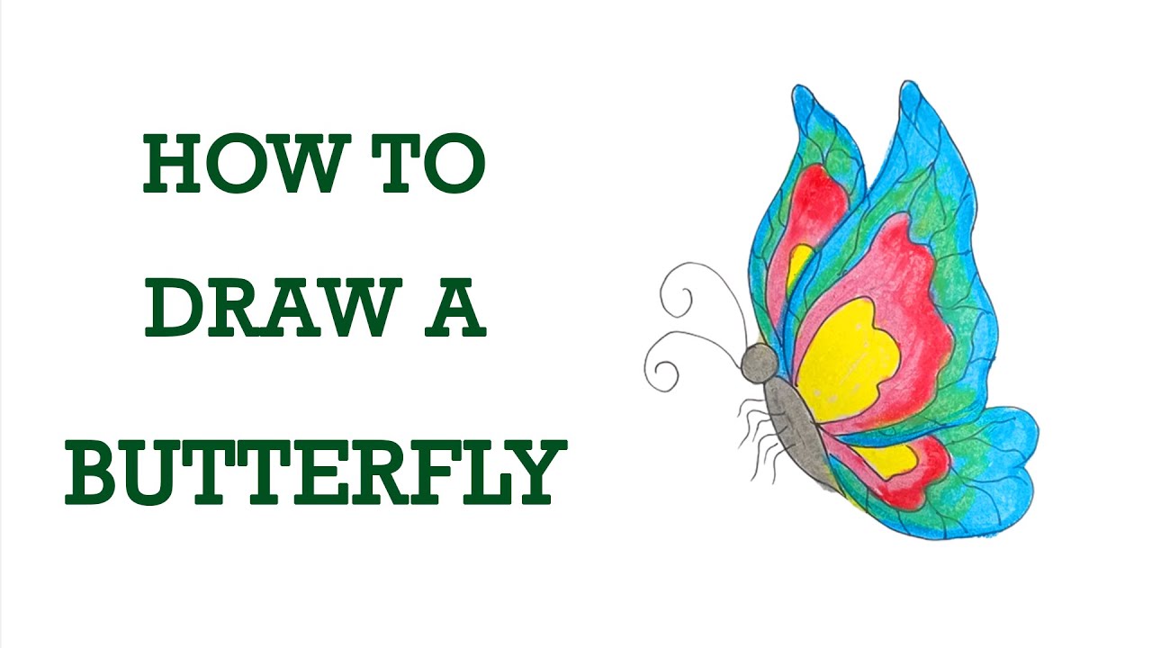 How To Draw A Butterfly Kindergarten at Carol Freda blog