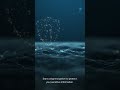 Encryption Protecting Your Data
