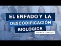 El enfado desde la Descodificación Biológica - Ángeles Wolder