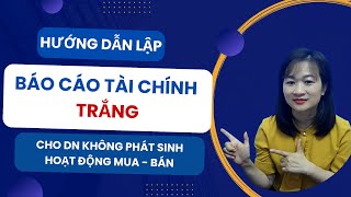 Hướng Dẫn Cách Lập Báo Cáo Tài Chính Trắng Cho Công Ty Không Phát Sinh Doanh Thu Hướng Dẫn Cách Lập Báo Cáo Tài Chính Trắng Cho Công Ty Không Phát Sinh Doanh Thu