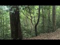 Silent Valley Forest Trekking, Attapadi Kerala India. Bus Trip to the Top.