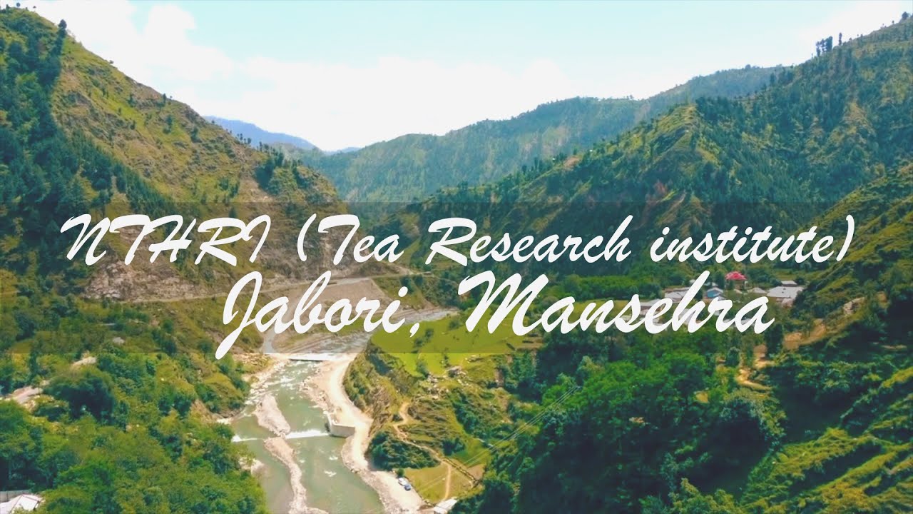 Pakistan| Travel Vlog | NTHRI (Tea Research institute), Jabori, Mansehra| S2 episode 5