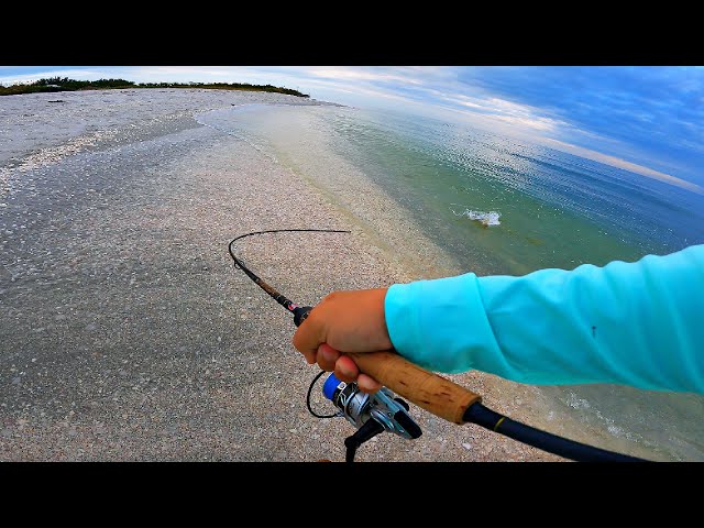 How I Fish a New BEACH with Lures! **SUCCESS** 