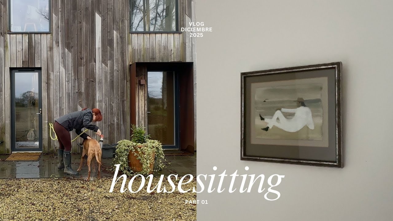 cuidando mascotas por navidad | mis días en una casa de en sueño