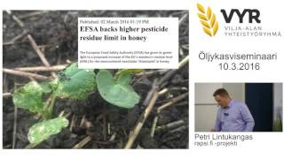 Rapsi.fi Havaintoja Ja Kokemuksia - Petri Lintukangas