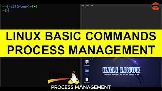 Linux Basic Commands - Process Management