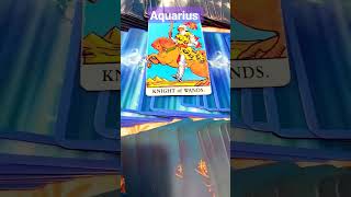 Aquarius! What to expect from Solar Eclipse 🌑 #sunrisetarot #asmr #tarotreading #2023tarot
