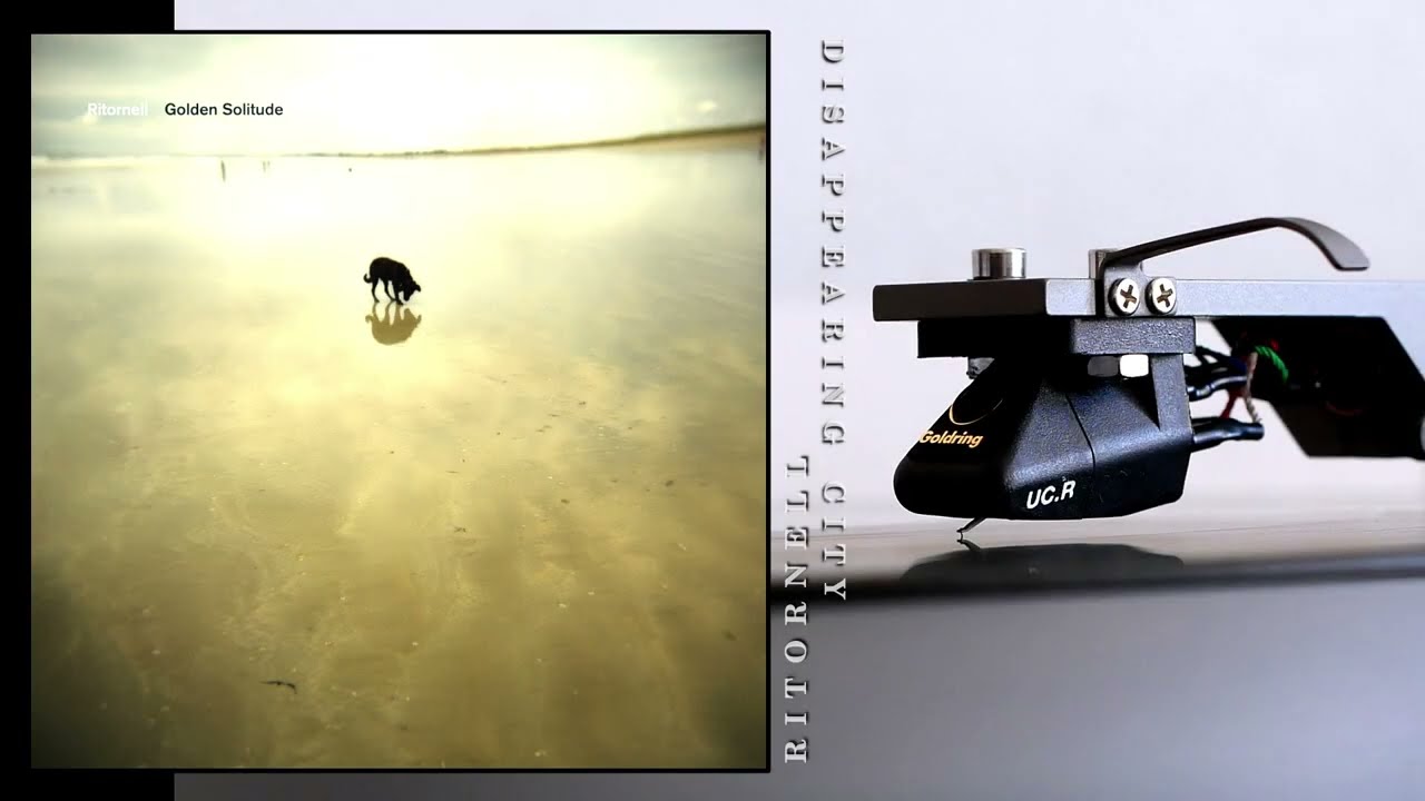 Ritornell ✧ Disappearing City ✧ Vinyl