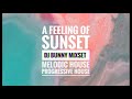 A feeling of sunset dj bunny mix set  melodic house  progressive house  deep house 