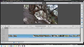Tutorial Premiere Elements 2021 Videoschnitt Einfach by I Bins 58 views 2 years ago 12 minutes, 53 seconds