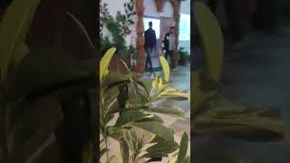 Lachhwala February 3, 2025