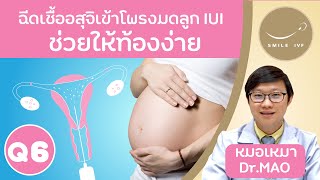 ฉีดเชื้ออสุจิ IUI …… ช่วยให้ท้องง่าย.….กว่ารอธรรมชาติ!!