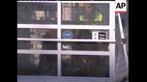 Two giant pandas have arrived from China aboard a special plane and are heading to a french zoo in c