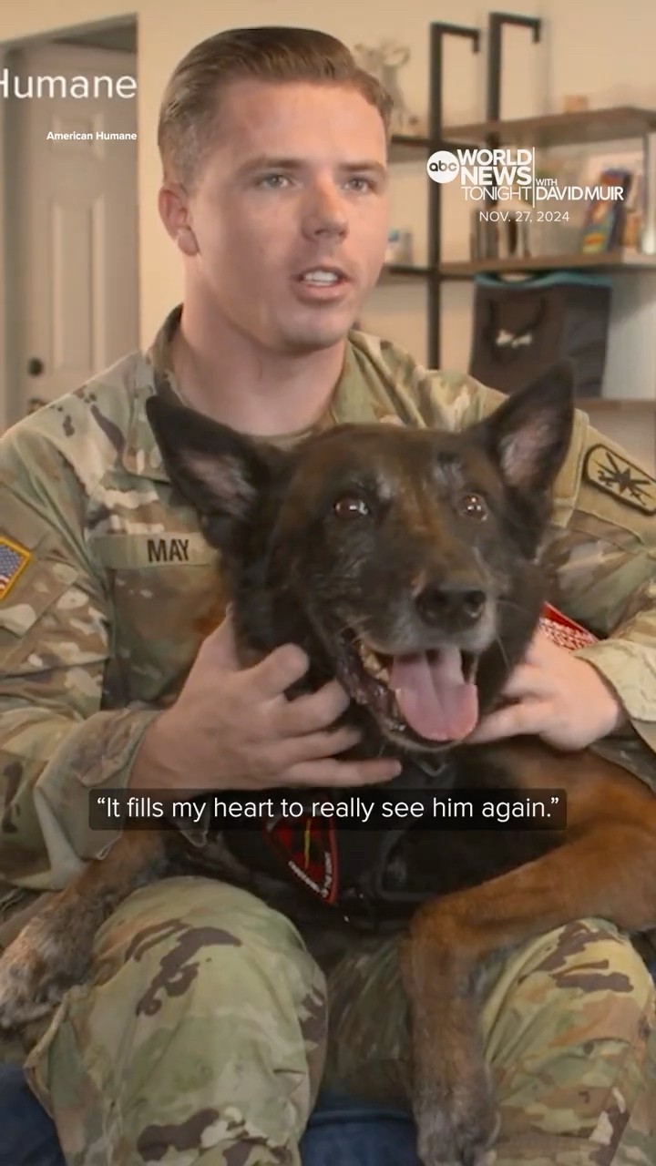 U.S. Army staff sergeant reunites with retired military dog for Thanksgiving