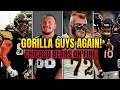 CHICAGO BEARS INVOLVED WITH THE GORILLA GUYS HAYDEN LARGE AND MORE INTRIGUING FACTS!