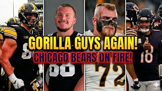 CHICAGO BEARS INVOLVED WITH THE GORILLA GUYS HAYDEN LARGE AND MORE INTRIGUING FACTS!
