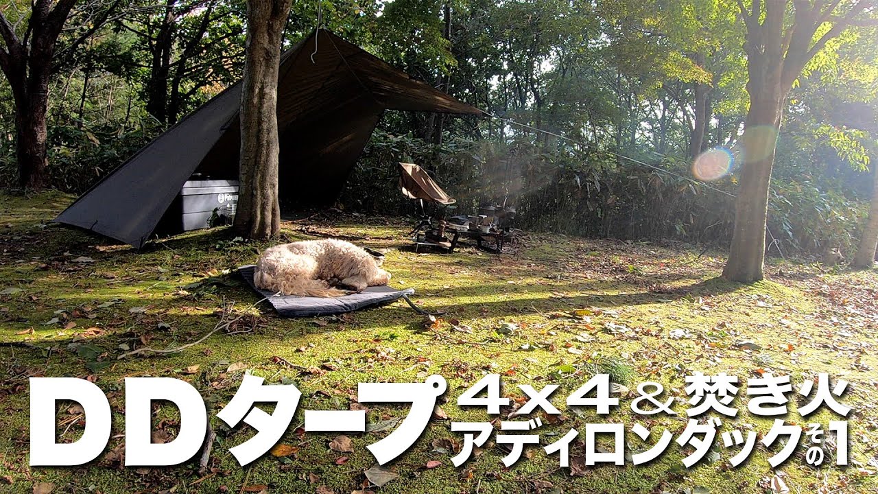 DD TARP 4x4】アディロンダック・リッジライン設営♪ 牛スネ肉のビール