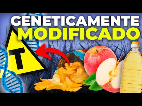 Vídeo: Quais são os prós e os contras dos alimentos geneticamente modificados?