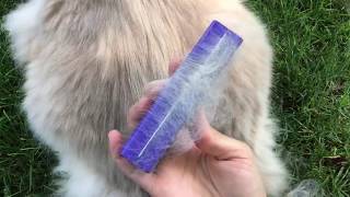 Brush for Cat Who Hates Being Groomed: EquiGroomer