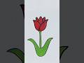Easy Tulip Flower Drawing With Red Color 🌷 #trending #art #drawing #flowerdrawing #shortvideo