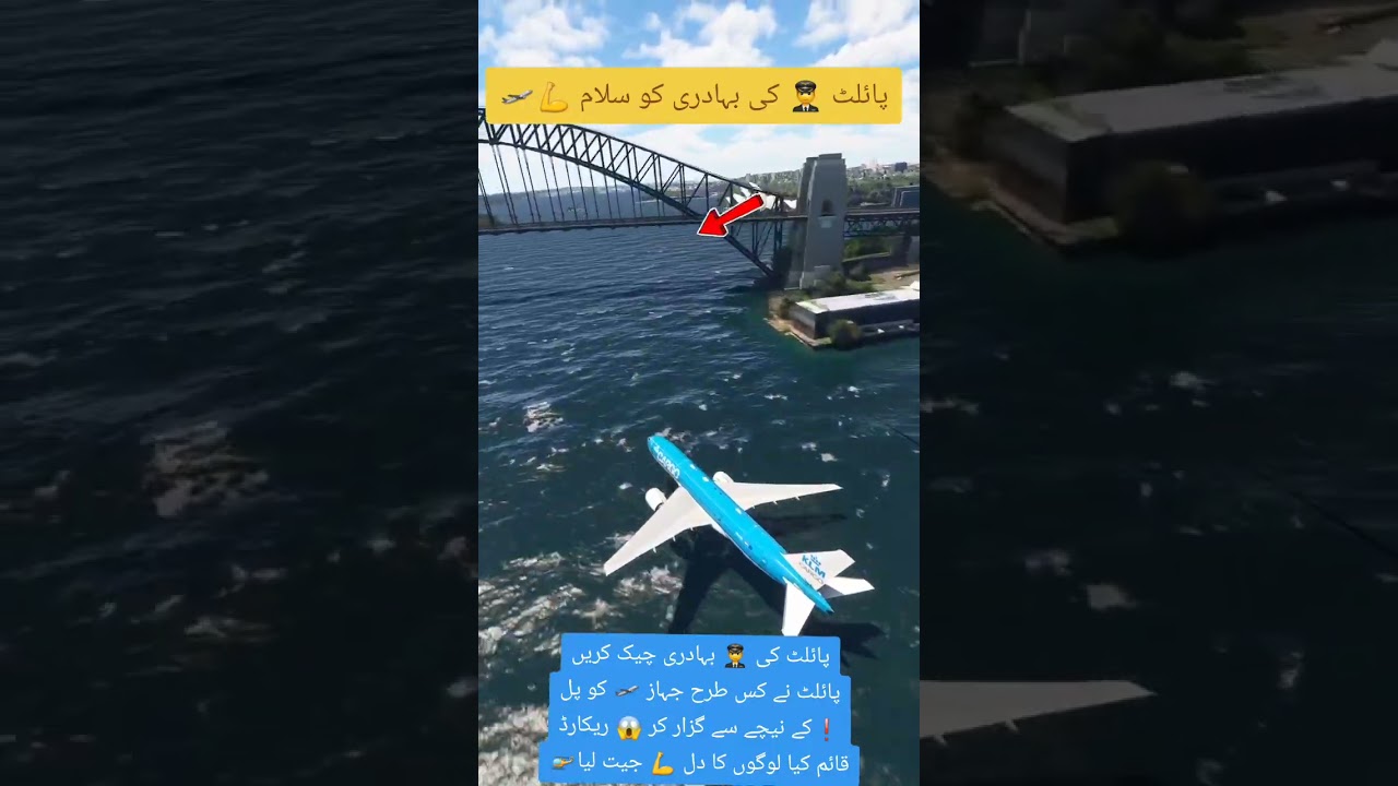The pilot bravely maneuvered the Jhaj under the bridge#💪🛫