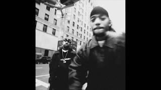 [FREE] MOBB DEEP x ALCHEMIST x HAVOC x RZA 90s TYPE BEAT "STREET METROPOLIS"