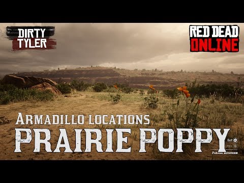 Cover image for YouTube video