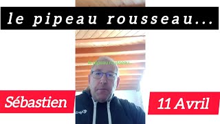 Sébastien béraud 11 Avril le pipeau rousseau...