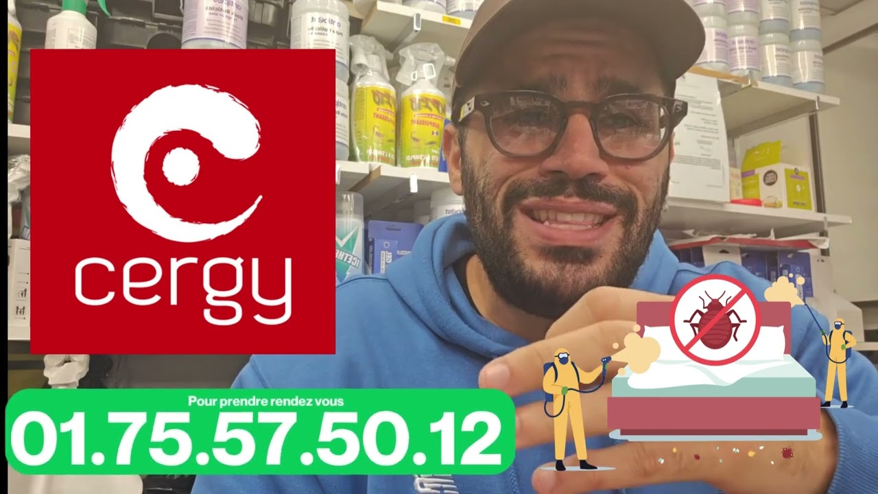 Dératisation Professionnelle à Cergy (95) Solutions Efficaces Contre les Rongeurs