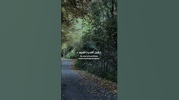 أفمن شرح الله صدره للأسلام#قران_كريم #تلاوة_خاشعة #راحة_نفسية #ماهر_المعيقلي