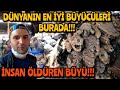 ŞEYTAN PAZARI!!LAMA ÖLÜLERİYLE BÜYÜ YAPIYORLAR CUSCO/PERU *48