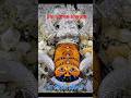 Jai shree shyam #hindi #hindi #jai ho lakh datar ki #hindisong
