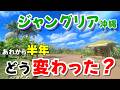ジャングリア沖縄の"今" 攻略ガイド♪