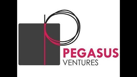 Pegasus Ventures and National Checking- Restaurant Guest Checks