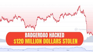 $120 MILLION DOLLARS STOLEN | BadgerDAO Exploit explained